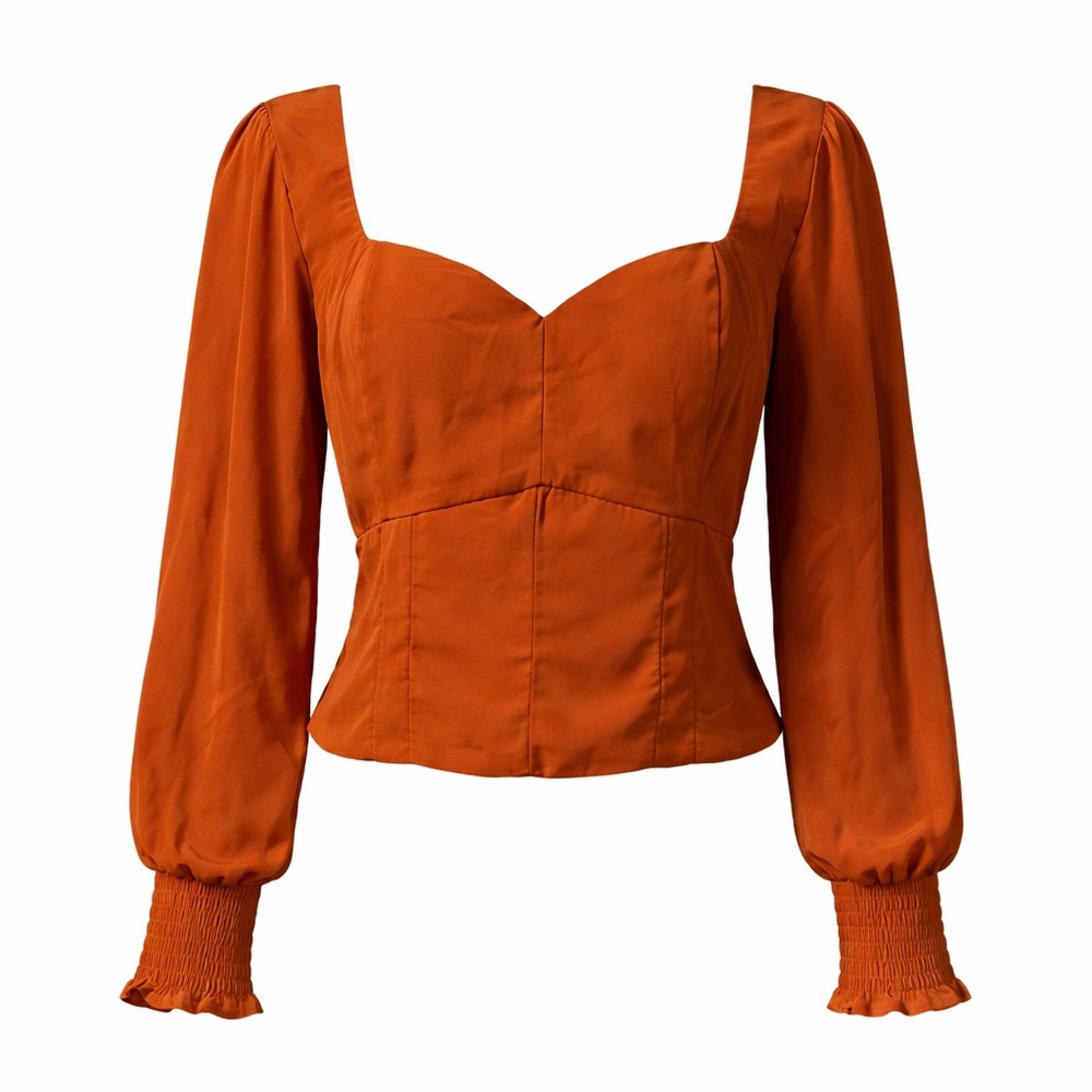 Abercrombie & Fitch Rust  Blouse Large Smocked Back Puff Sleeve Top